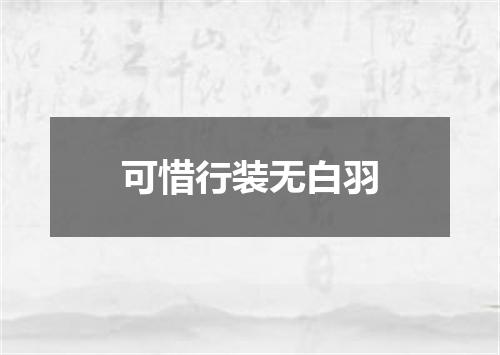 可惜行装无白羽