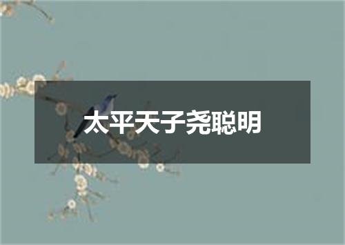 太平天子尧聪明