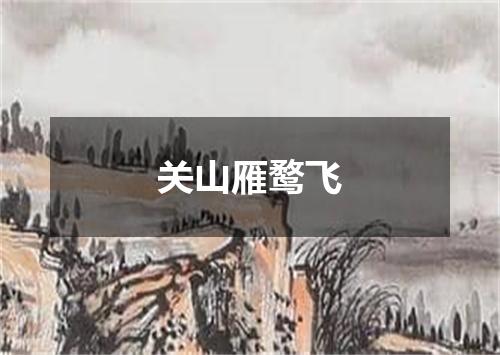 关山雁鹜飞