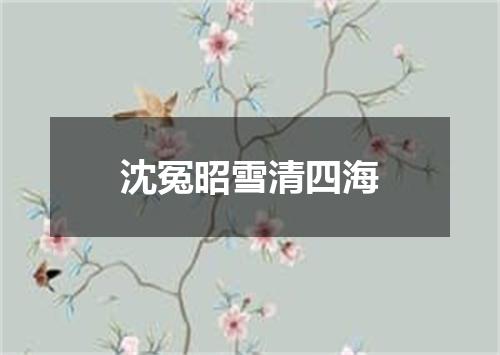 沈冤昭雪清四海