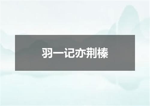 羽一记亦荆榛