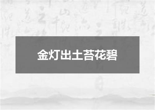 金灯出土苔花碧