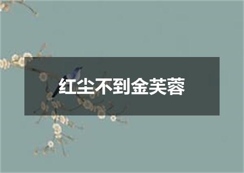 红尘不到金芙蓉