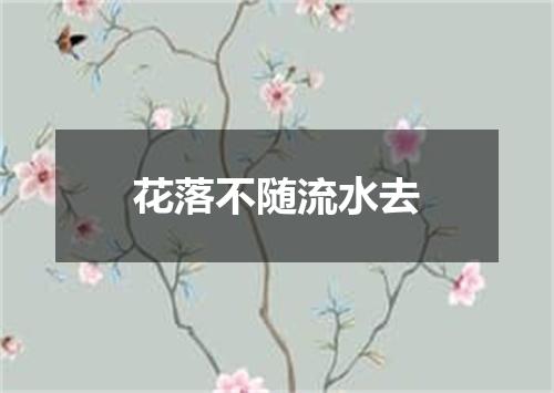 花落不随流水去