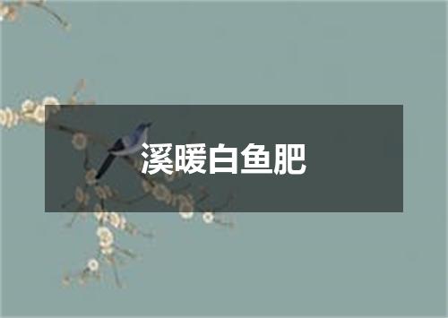 溪暖白鱼肥