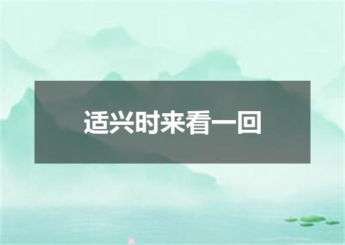 适兴时来看一回