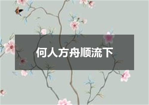 何人方舟顺流下
