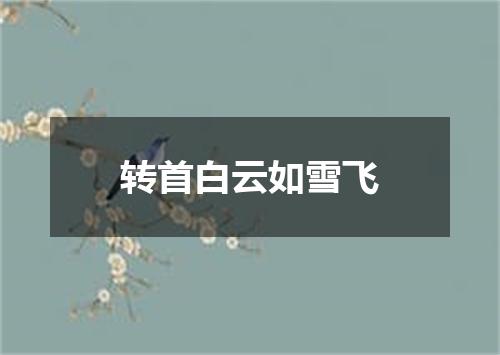 转首白云如雪飞