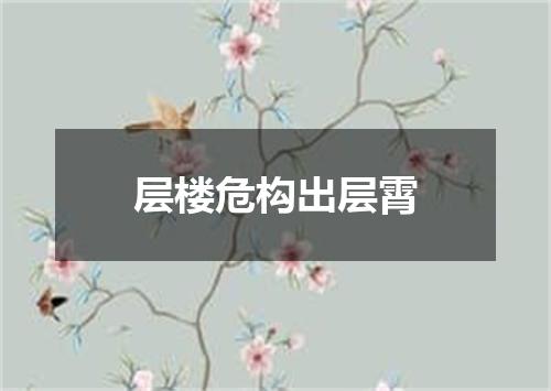 层楼危构出层霄