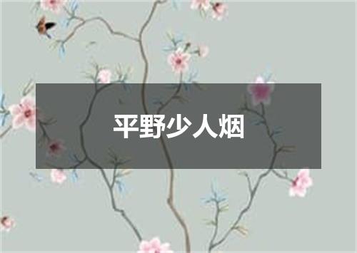 平野少人烟