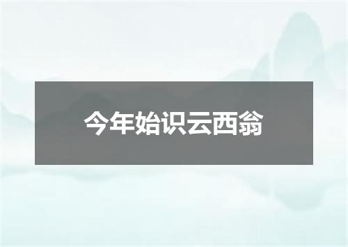 今年始识云西翁