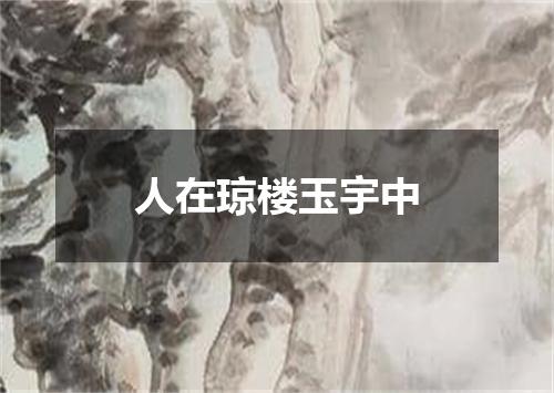 人在琼楼玉宇中