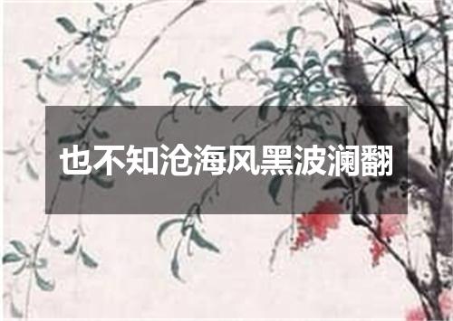 也不知沧海风黑波澜翻