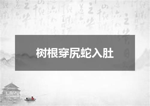树根穿尻蛇入肚