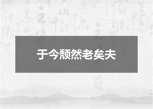 于今颓然老矣夫