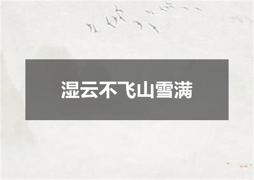 湿云不飞山雪满