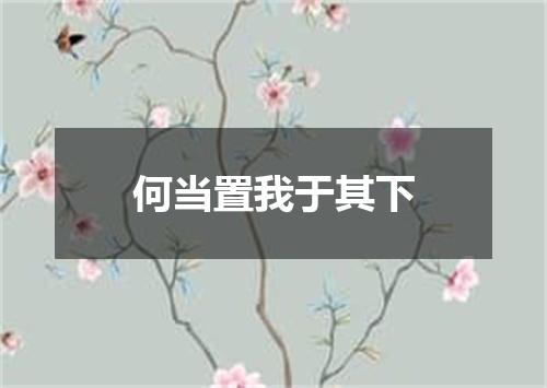 何当置我于其下