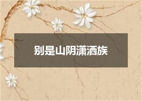 别是山阴潇洒族