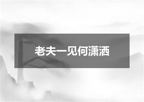 老夫一见何潇洒