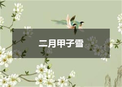 二月甲子雪