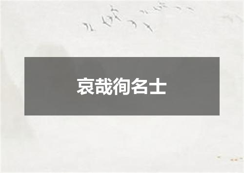 哀哉徇名士