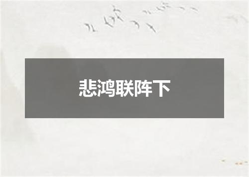 悲鸿联阵下