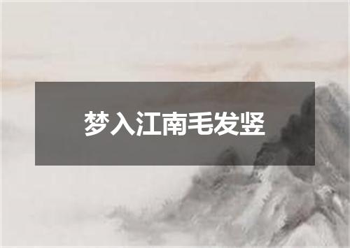 梦入江南毛发竖