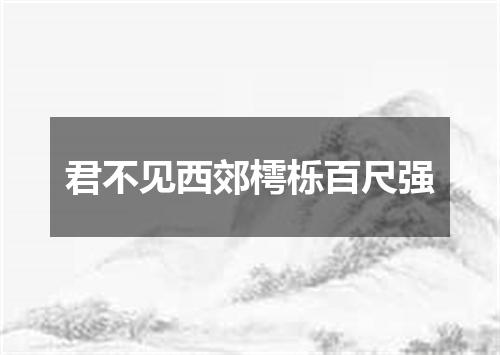 君不见西郊樗栎百尺强