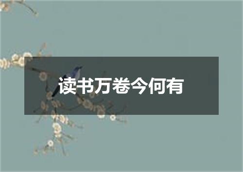 读书万卷今何有