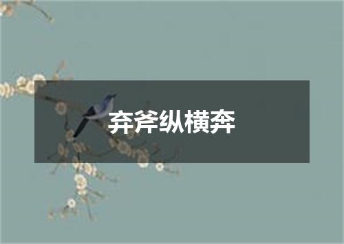 弃斧纵横奔
