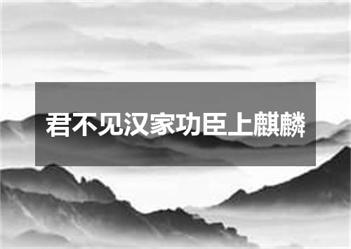 君不见汉家功臣上麒麟