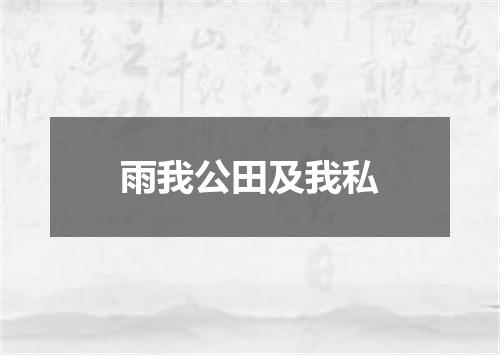雨我公田及我私