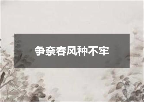 争奈春风种不牢
