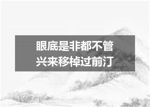 眼底是非都不管兴来移棹过前汀