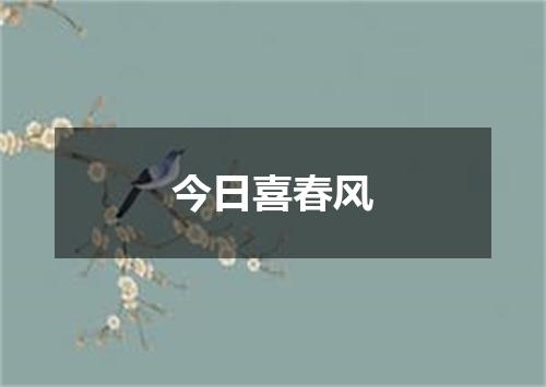 今日喜春风