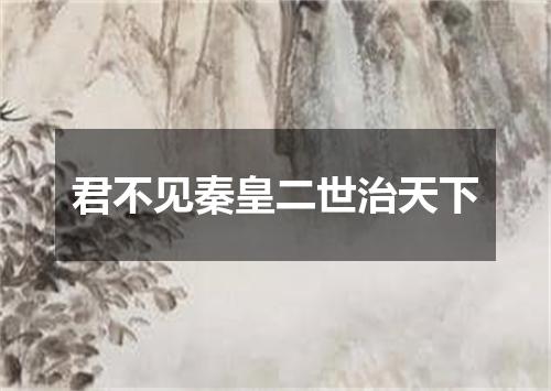 君不见秦皇二世治天下