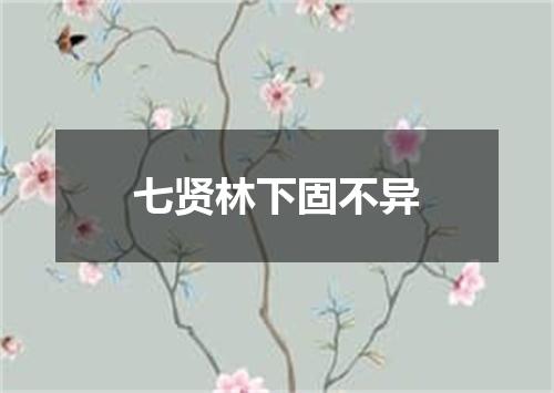 七贤林下固不异