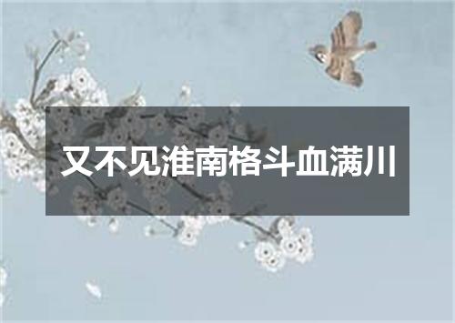 又不见淮南格斗血满川