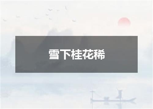 雪下桂花稀