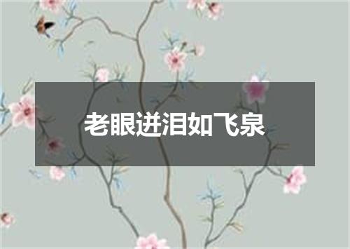 老眼迸泪如飞泉
