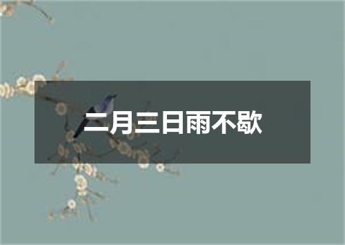 二月三日雨不歇