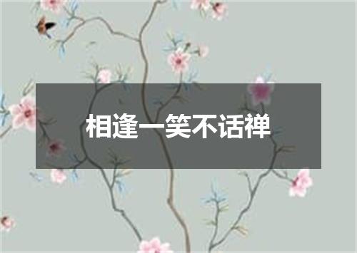相逢一笑不话禅