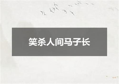 笑杀人间马子长