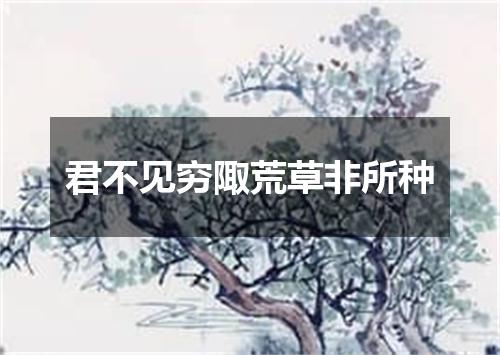 君不见穷陬荒草非所种
