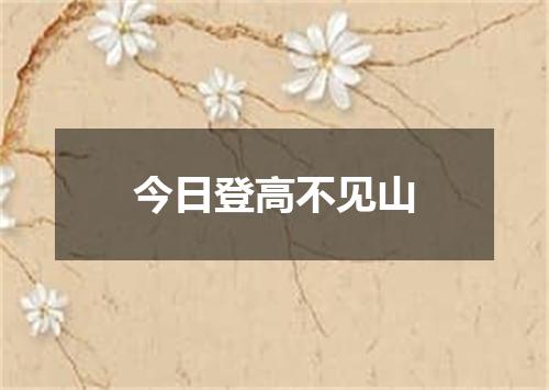 今日登高不见山