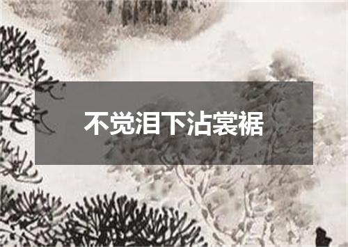 不觉泪下沾裳裾