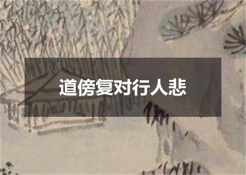 道傍复对行人悲
