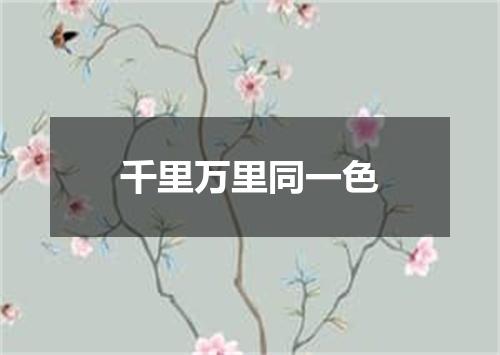 千里万里同一色