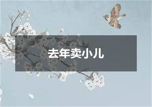 去年卖小儿