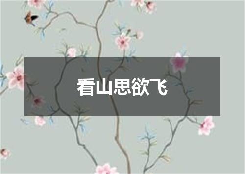 看山思欲飞